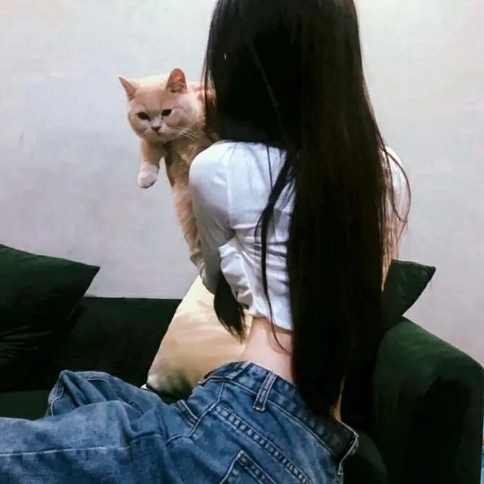 飞踢天使